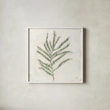 Plantlife I Green by Julia Purinton. Shown in a crisp white glass frame for a clean and minimalist style. Available as an archival giclee rolled canvas, fine art paper, or poster print. SKU 75952a.