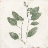 Plantlife II Green by Julia Purinton. SKU 75953a. Archival Giclee Fine art print for wall decor.