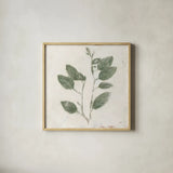 Plantlife II Green by Julia Purinton. Shown in a natural wood glass frame for a timeless modern aesthetic. Available as an archival giclee rolled canvas, fine art paper, or poster print. SKU 75953a.
