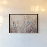 Pretty Birds by Julia Purinton. shown as a paper print in a black flame. Available as a archival giclee rolled canvas, fine art paper, or poster print. SKU 34630i.
