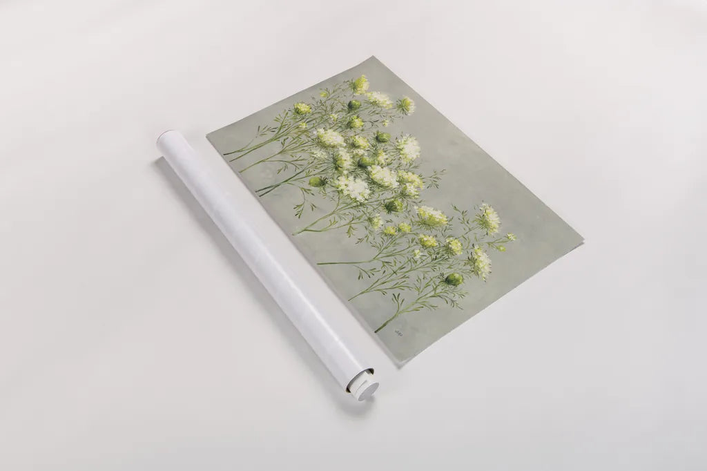 Queen Annes Lace by Julia Purinton. shown as a rolled paper print. Available as archival giclee rolled canvas, fine art paper, or poster print. SKU 57168i.