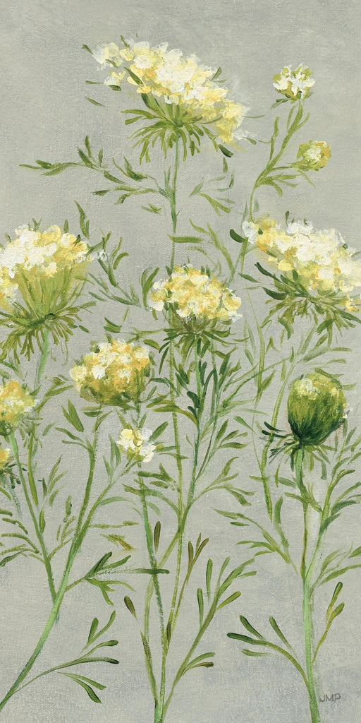 Queen Annes Lace III Yellow by Julia Purinton