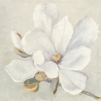 Serene Magnolia by Julia Purinton. SKU 45730a. Archival Giclee Fine art print for wall decor.
