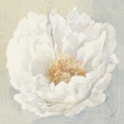 Serene Peony by Julia Purinton. SKU 45729a. Archival Giclee Fine art print for wall decor.