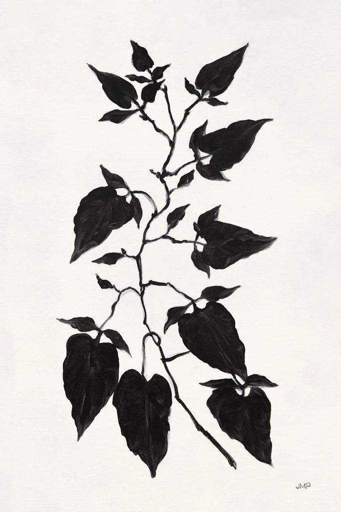 Shadow Botanical II by Julia Purinton