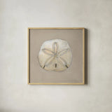 Soft Sea Taupe II by Julia Purinton. Shown in a natural wood glass frame for a timeless modern aesthetic. Available as an archival giclee rolled canvas, fine art paper, or poster print. SKU 97044a.