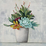 Succulent Still Life I by Julia Purinton. SKU 59959a. Archival Giclee Fine art print for wall decor.