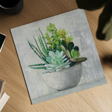 Succulent Still Life II by Julia Purinton. Shown as a detailed flat fine art print, highlighting archival giclee quality. Available as an archival giclee rolled canvas, fine art paper, or poster print. SKU 59960a.
