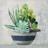 Succulent Still Life II Navy by Julia Purinton. SKU 63532a. Archival Giclee Fine art print for wall decor.