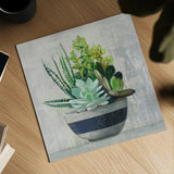 Succulent Still Life II Navy by Julia Purinton. Shown as a detailed flat fine art print, highlighting archival giclee quality. Available as an archival giclee rolled canvas, fine art paper, or poster print. SKU 63532a.
