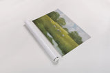 Sun Grazing by Julia Purinton. shown as a rolled paper print. Available as archival giclee rolled canvas, fine art paper, or poster print. SKU 90243i.