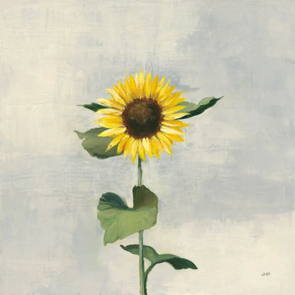 Sunny Blooms II by Julia Purinton. SKU 62196a. Archival Giclee Fine art print for wall decor.