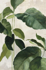 Tropical Study II Crop by Julia Purinton. SKU 70135h. Archival Giclee Fine art print for wall decor.