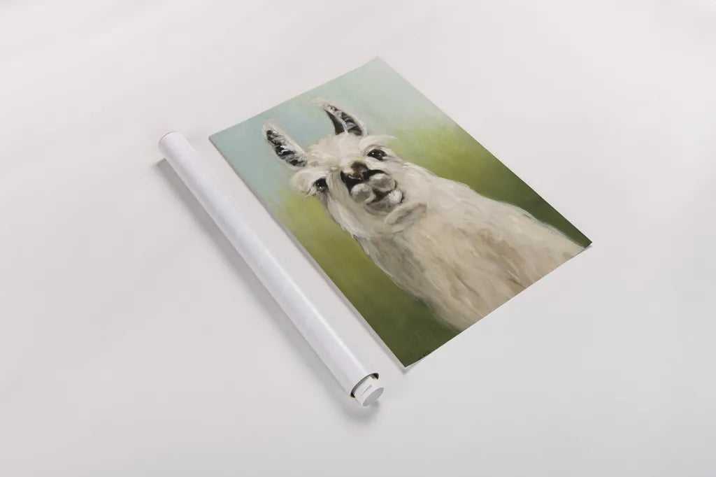 Whos Your Llama I Crop by Julia Purinton. shown as a rolled paper print. Available as archival giclee rolled canvas, fine art paper, or poster print. SKU 36176h.