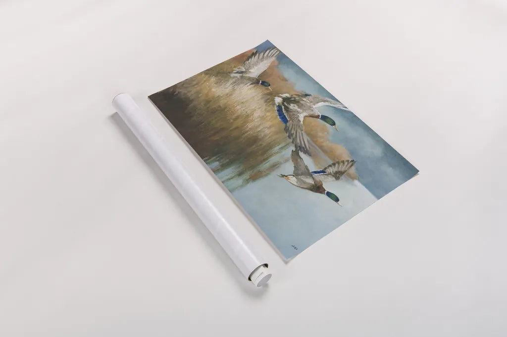 Wild Wings by Julia Purinton. shown as a rolled paper print. Available as archival giclee rolled canvas, fine art paper, or poster print. SKU 97244i.