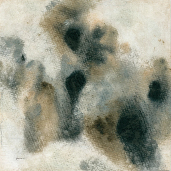 Grayscale Lichen I by June Erica Vess