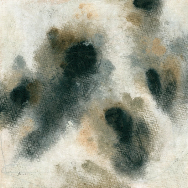 Grayscale Lichen II by June Erica Vess