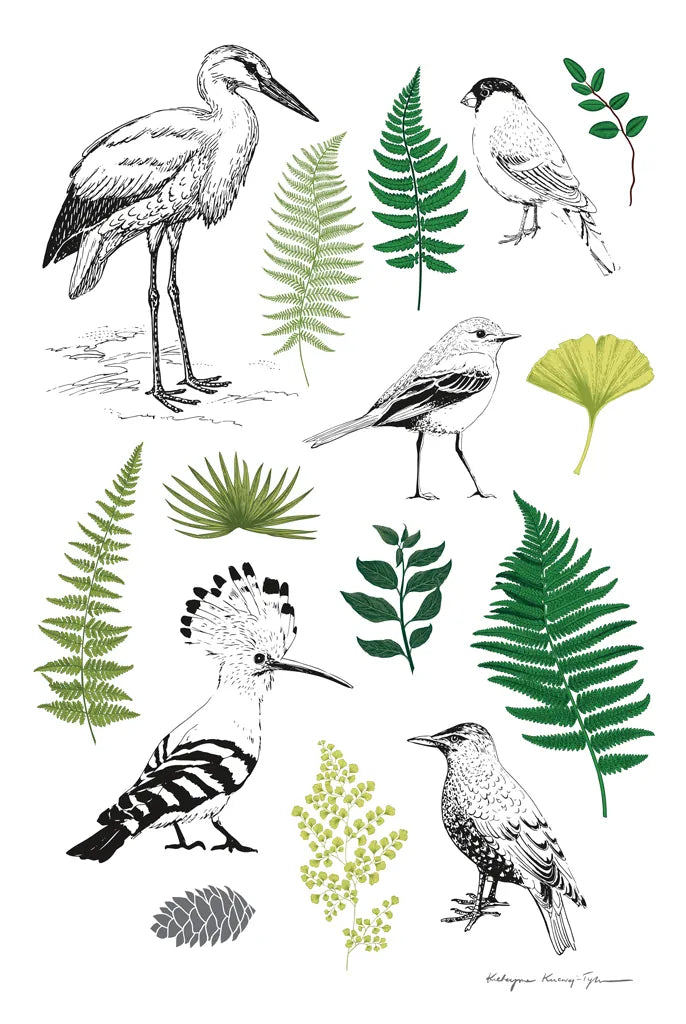 Nature Chart I by Kasia Kucwaj-Tybur. SKU 81329h. Archival Giclee Fine art print for wall decor.