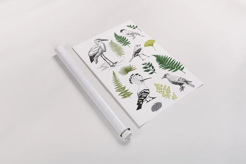 Nature Chart I by Kasia Kucwaj-Tybur. shown as a rolled paper print. Available as archival giclee rolled canvas, fine art paper, or poster print. SKU 81329h.