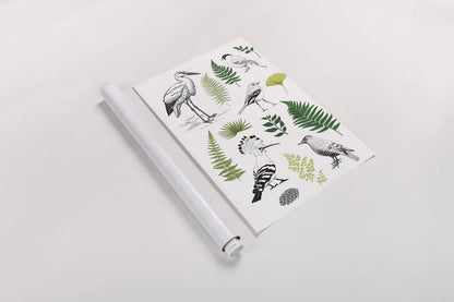 Nature Chart I by Kasia Kucwaj-Tybur. shown as a rolled paper print. Available as archival giclee rolled canvas, fine art paper, or poster print. SKU 81329h.