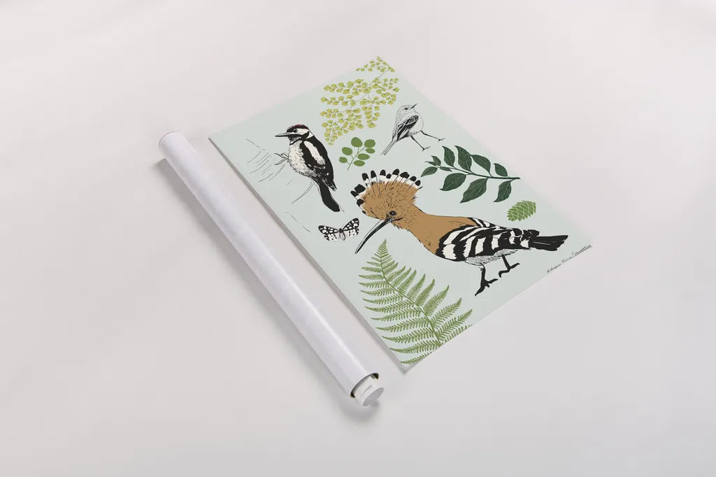 Nature Chart II by Kasia Kucwaj-Tybur. shown as a rolled paper print. Available as archival giclee rolled canvas, fine art paper, or poster print. SKU 81330h.