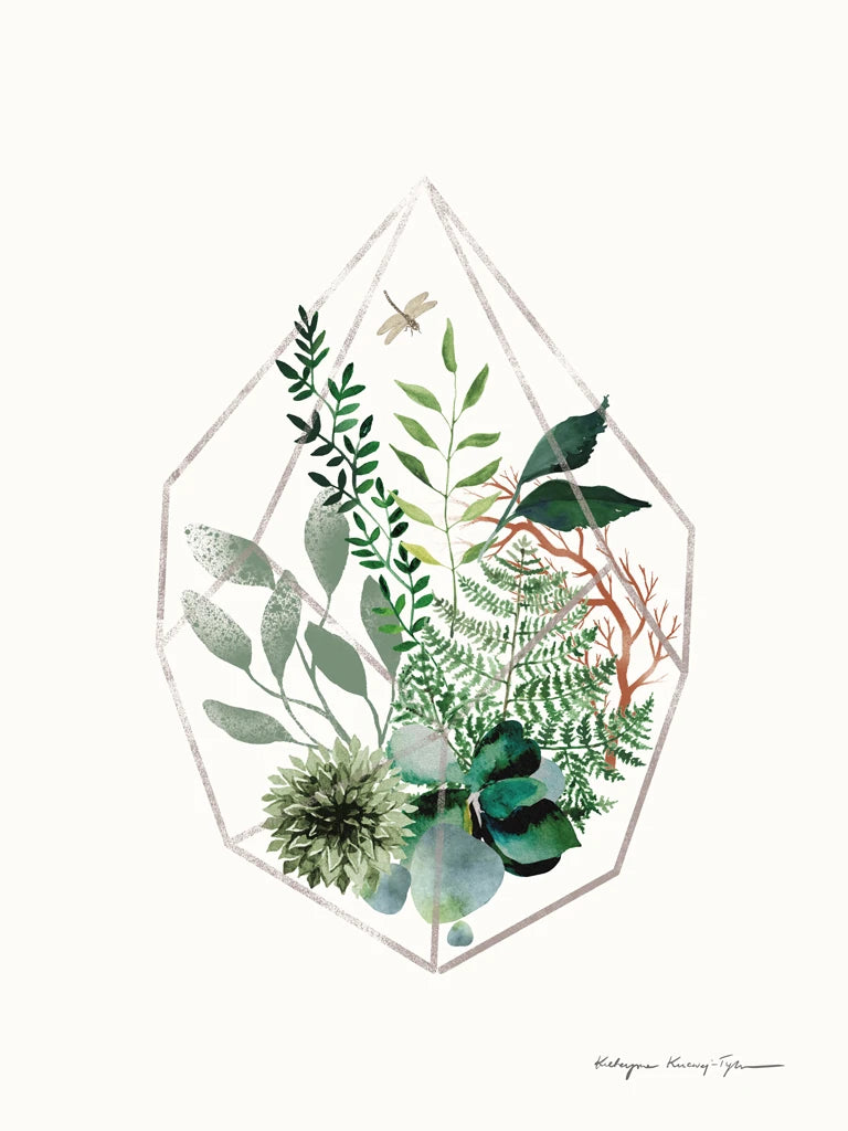 Terrarium by Kasia Kucwaj-Tybur