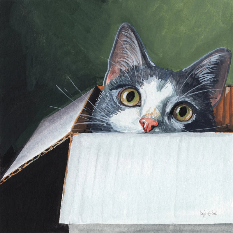 A Place To Sit and Think by Kate Jarvik Birch