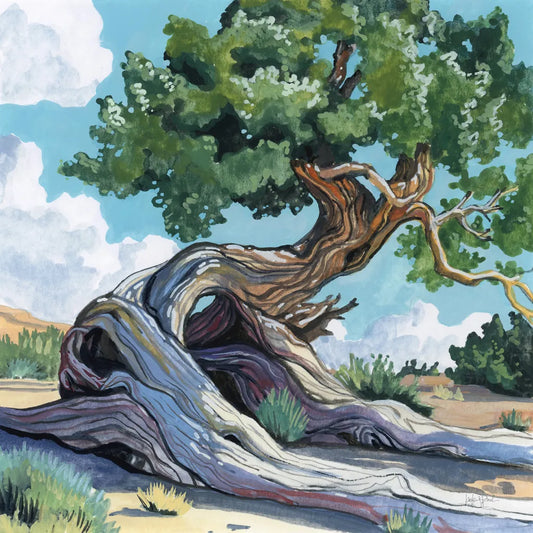A Tree That Adapts to Change by Kate Jarvik Birch. SKU 98544a. Archival Giclee Fine art print for wall decor.