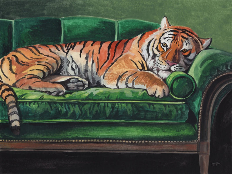 A Very Big Cat Nap by Kate Jarvik Birch