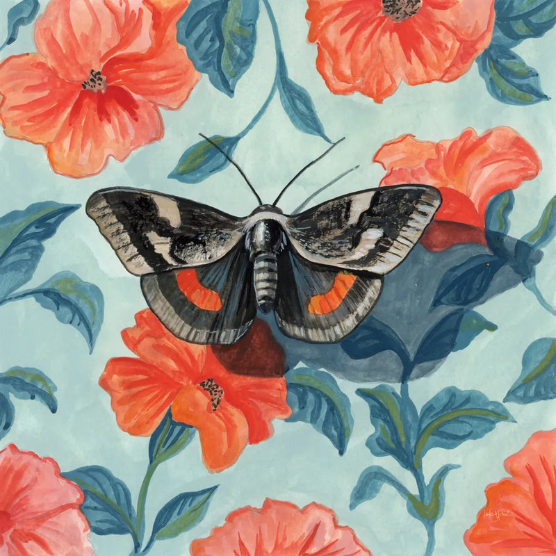 Academia Moth on The Wall by Kate Jarvik Birch. SKU 98545a. Archival Giclee Fine art print for wall decor.