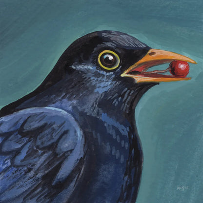 Black Bird With A Berry by Kate Jarvik Birch. SKU 100950a. Archival Giclee Fine art print for wall decor.