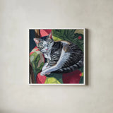 Cat Nap in Sunshine by Kate Jarvik Birch. Shown in a crisp white glass frame for a clean and minimalist style. Available as an archival giclee rolled canvas, fine art paper, or poster print. SKU 98556a.