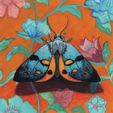 Colorful Moth on Pattern by Kate Jarvik Birch. SKU 100952a. Archival Giclee Fine art print for wall decor.