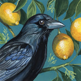 Crow With Lemon Backdrop by Kate Jarvik Birch. SKU 98564a. Archival Giclee Fine art print for wall decor.