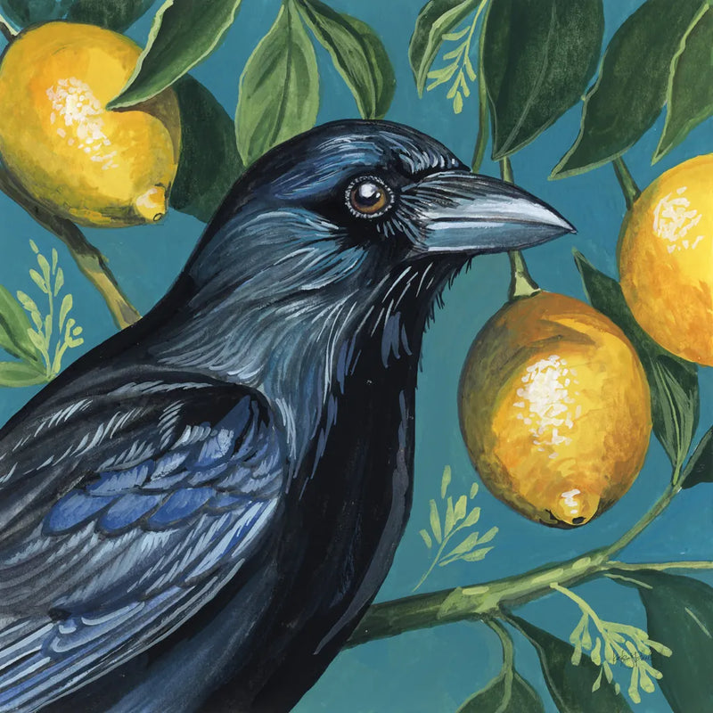 Crow With Lemon Backdrop by Kate Jarvik Birch. SKU 98564a. Archival Giclee Fine art print for wall decor.