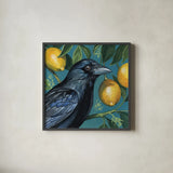 Crow With Lemon Backdrop by Kate Jarvik Birch. Shown in a sleek black glass frame for a contemporary gallery look. Available as an archival giclee rolled canvas, fine art paper, or poster print. SKU 98564a.