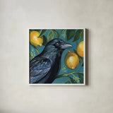 Crow With Lemon Backdrop by Kate Jarvik Birch. Shown in a crisp white glass frame for a clean and minimalist style. Available as an archival giclee rolled canvas, fine art paper, or poster print. SKU 98564a.
