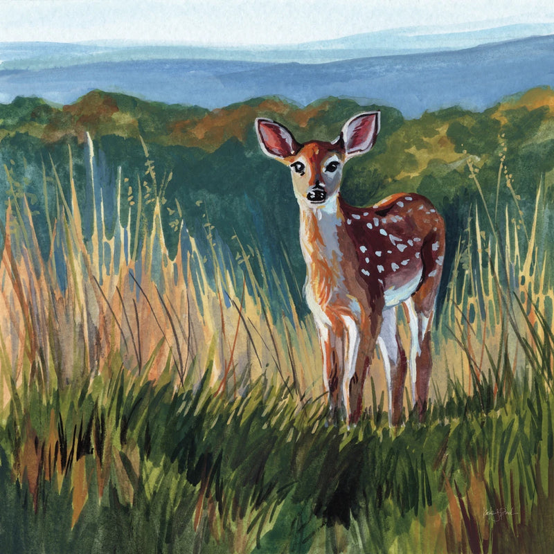 Fawn at Dawn by Kate Jarvik Birch