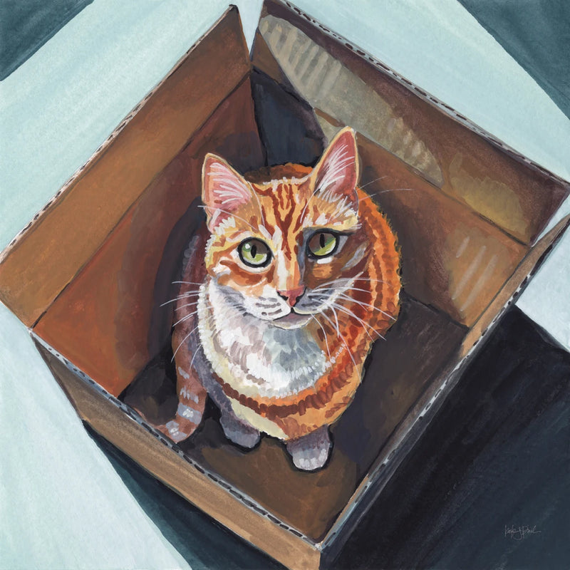 Fits and Sits by Kate Jarvik Birch