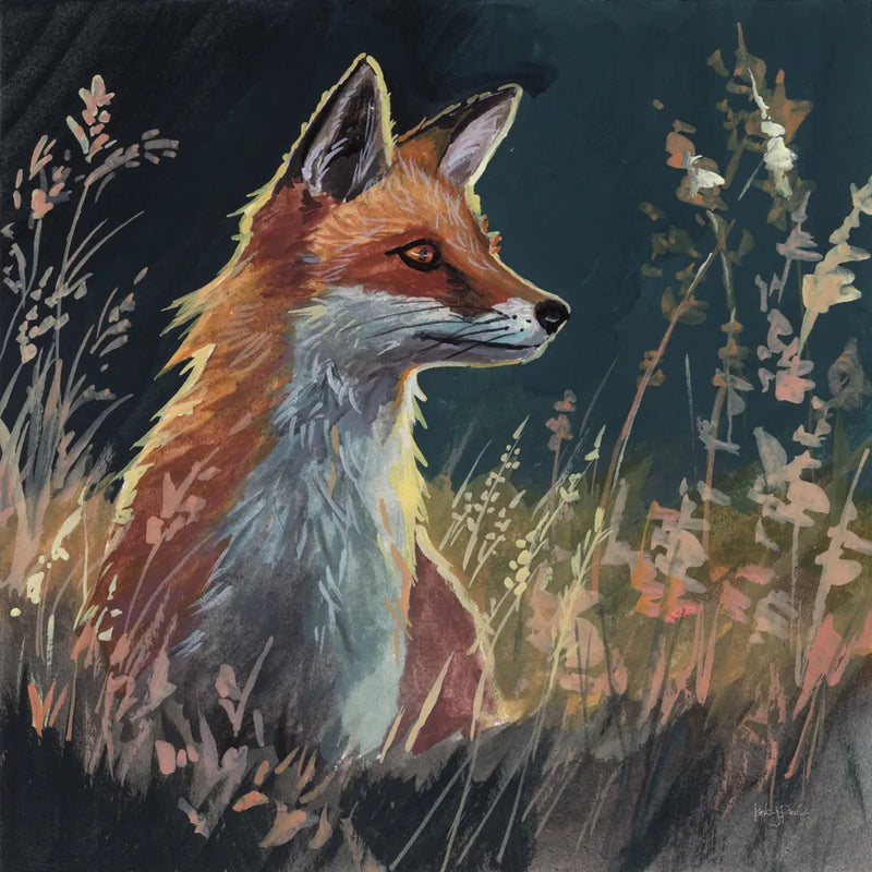 Fox In The Morning Glow by Kate Jarvik Birch. SKU 102908a. Archival Giclee Fine art print for wall decor.