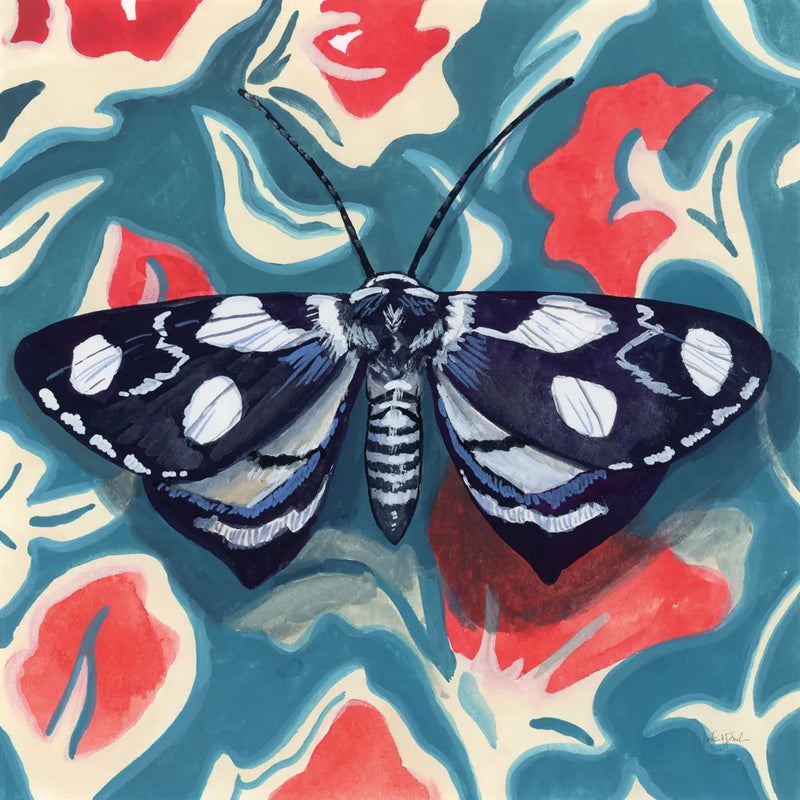 Moth on Beautiful Wall by Kate Jarvik Birch. SKU 98586a. Archival Giclee Fine art print for wall decor.