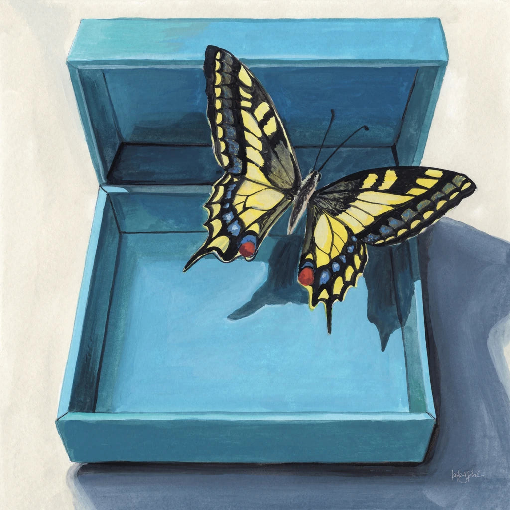 Out Of The Box by Kate Jarvik Birch