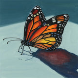 Shadow Study of a Butterfly by Kate Jarvik Birch. SKU 99740a. Archival Giclee Fine art print for wall decor.