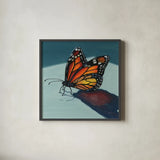 Shadow Study of a Butterfly by Kate Jarvik Birch. Shown in a sleek black glass frame for a contemporary gallery look. Available as an archival giclee rolled canvas, fine art paper, or poster print. SKU 99740a.