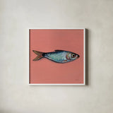 Single Sardine I by Kate Jarvik Birch. Shown in a crisp white glass frame for a clean and minimalist style. Available as an archival giclee rolled canvas, fine art paper, or poster print. SKU 100803a.