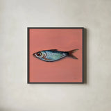 Single Sardine II by Kate Jarvik Birch. Shown in a sleek black glass frame for a contemporary gallery look. Available as an archival giclee rolled canvas, fine art paper, or poster print. SKU 100804a.