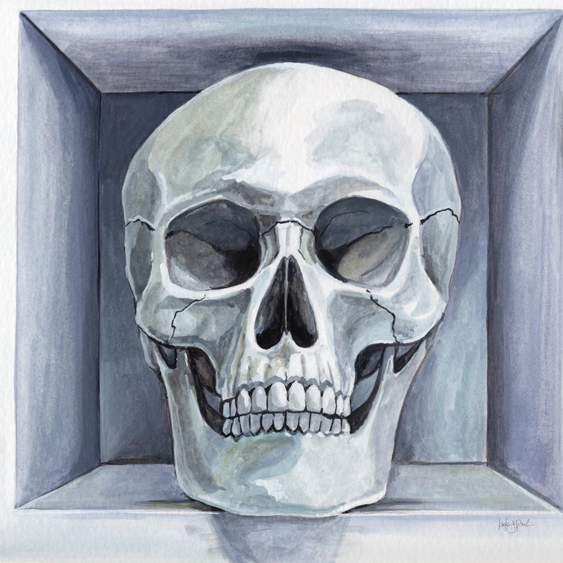 Still Life Still Death by Kate Jarvik Birch