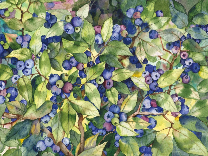 Blueberries by Kathleen Parr McKenna