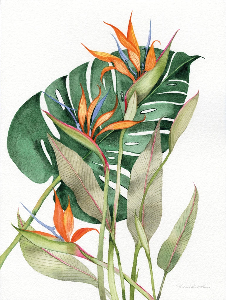 Botanical Birds of Paradise by Kathleen Parr McKenna