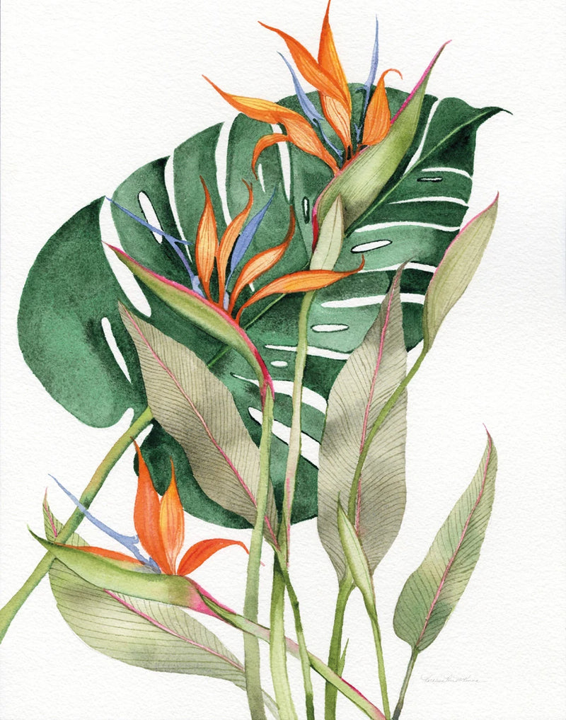Botanical Birds of Paradise Crop by Kathleen Parr McKenna